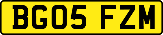 BG05FZM