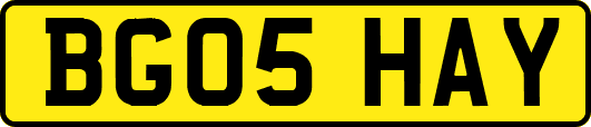 BG05HAY
