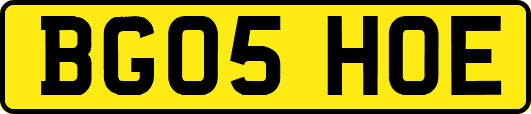BG05HOE