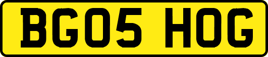 BG05HOG