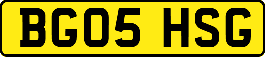 BG05HSG