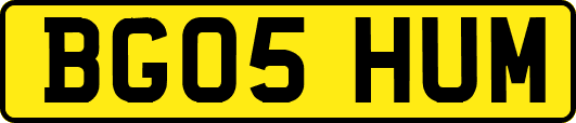 BG05HUM