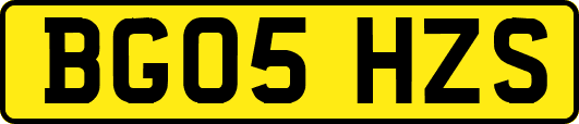 BG05HZS