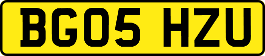 BG05HZU