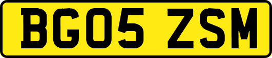 BG05ZSM