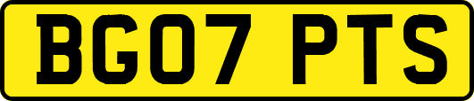 BG07PTS