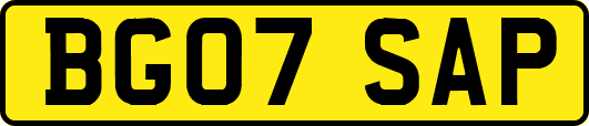 BG07SAP