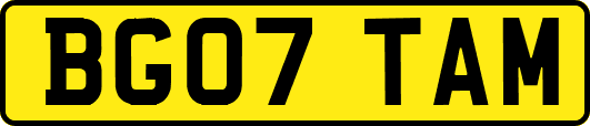 BG07TAM