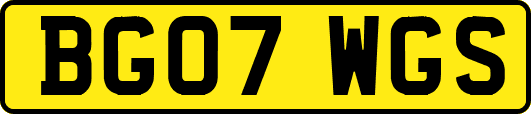 BG07WGS