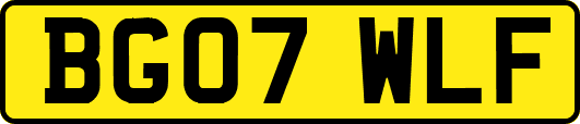 BG07WLF