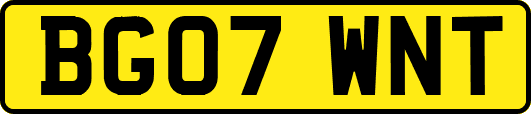 BG07WNT