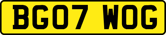 BG07WOG