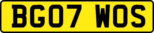BG07WOS