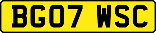 BG07WSC