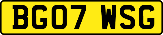BG07WSG