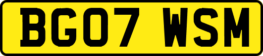 BG07WSM