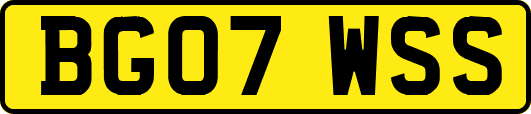 BG07WSS