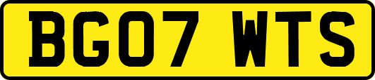 BG07WTS