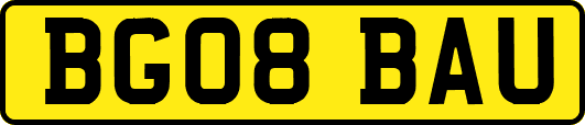 BG08BAU