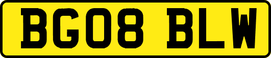 BG08BLW
