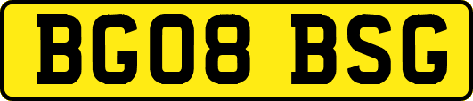 BG08BSG
