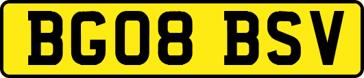 BG08BSV