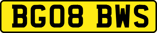 BG08BWS
