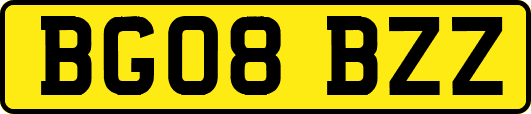 BG08BZZ
