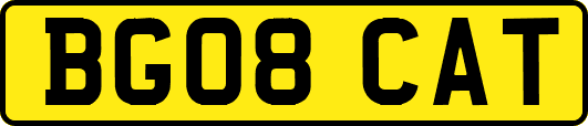 BG08CAT