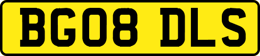 BG08DLS
