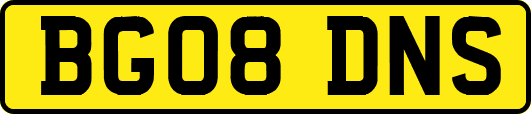 BG08DNS