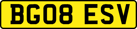 BG08ESV