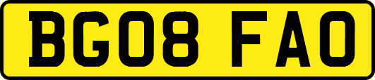 BG08FAO