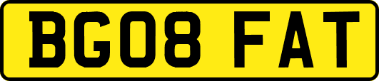 BG08FAT