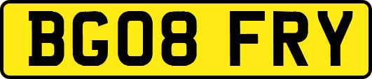 BG08FRY