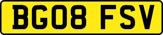 BG08FSV