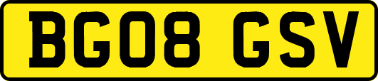 BG08GSV