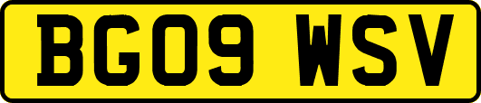 BG09WSV