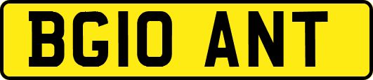 BG10ANT