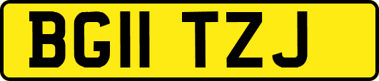 BG11TZJ