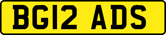 BG12ADS