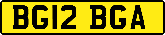 BG12BGA