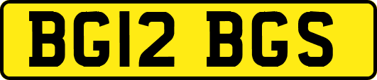 BG12BGS