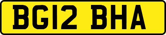 BG12BHA