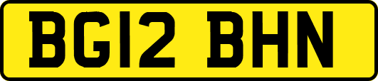 BG12BHN