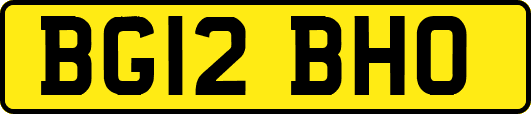 BG12BHO