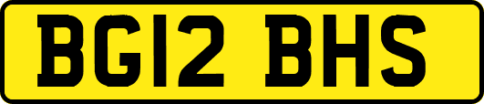 BG12BHS