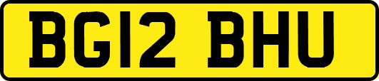BG12BHU