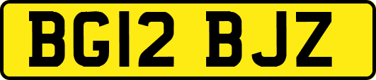 BG12BJZ