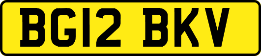 BG12BKV
